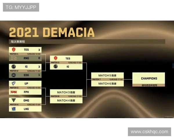 TES战队技术表现深度分析与数据解读探讨