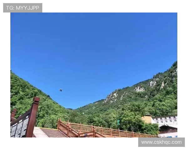 广州乒乓球队联合会杯征程回顾与突破成就的深度分析