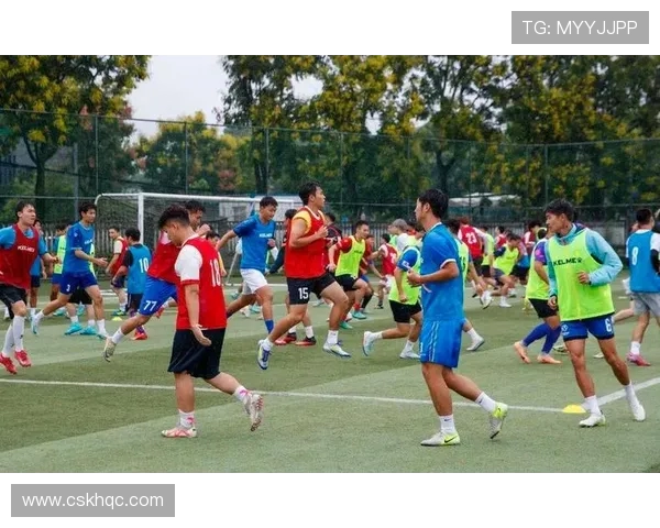 成都篮球队的耐力之谜：探寻背后的训练与坚持