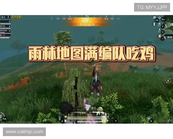 最新和平精英团队协作TOP10：V5领跑