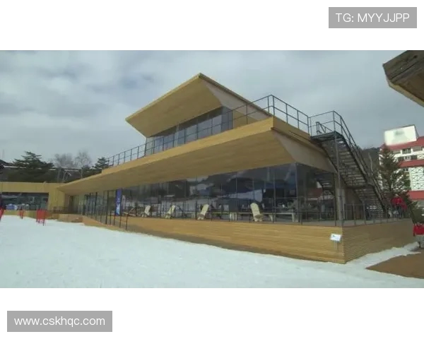 杭州与深圳极限运动队赛后复盘团队协作的成功与不足分析