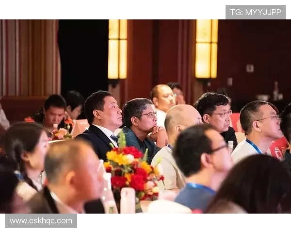 武汉排球队中路突破革新引领战术变革助力球队崛起