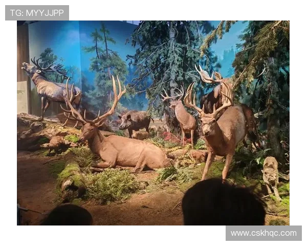 探索埃斯特旺的魅力与历史：一场文化与自然的奇妙之旅