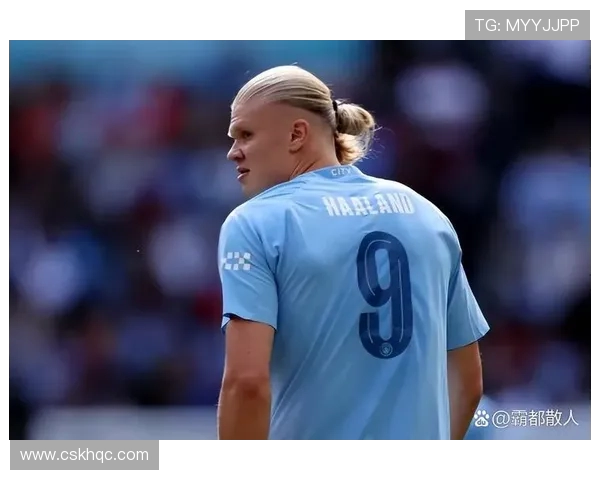 格鲁吉亚与威尔士激战正酣谁将赢得这场精彩对决 格鲁吉亚与威尔士激战正酣谁将赢得这场精彩对决