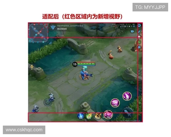 王者荣耀装备选购指南：如何选择最佳显示器提升游戏体验