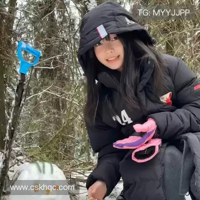董治鹤